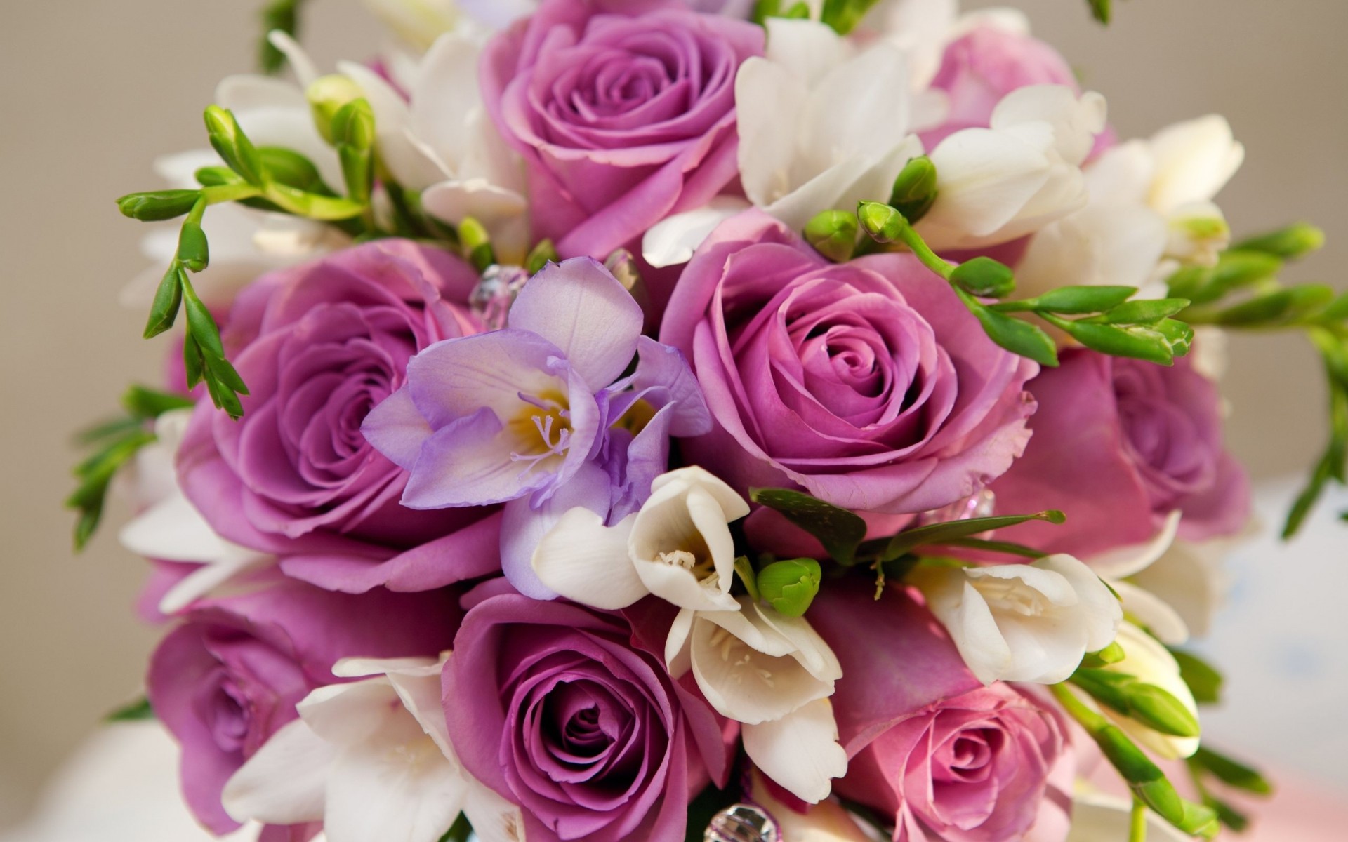 ipad buket belyj cvety iphone 5 rozy fioletovyj